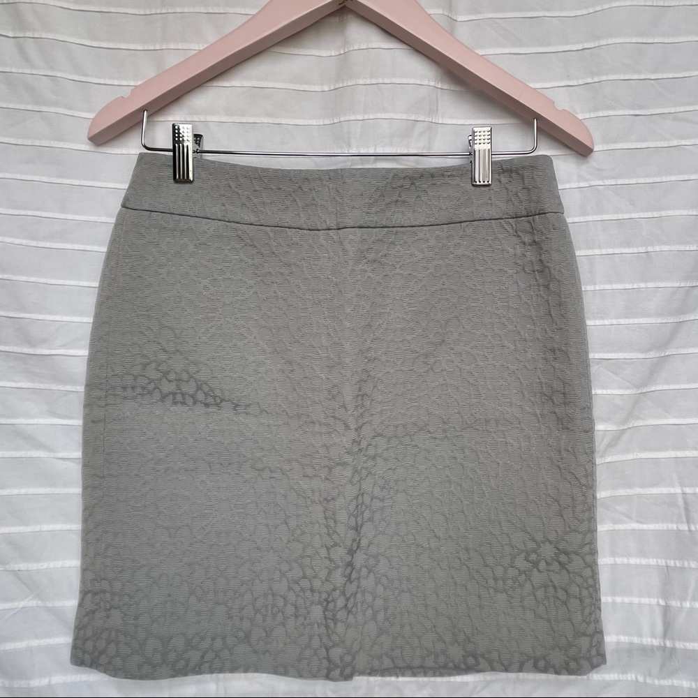 Ann Taylor LOFT 2P Gray Skirt